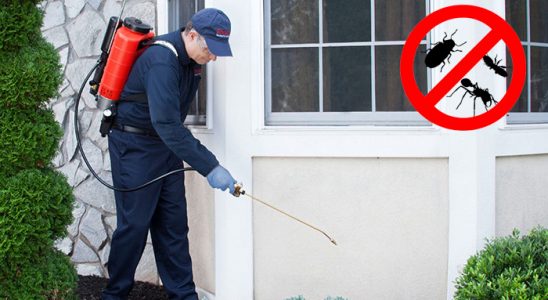 Kürtün Bit İlaçlama böcek ilaçlama ve haşere kontrolü — ilaclama-tr.com